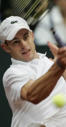 Andy Roddick Davis Cup