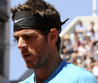 Juan Marton del Potro French Open