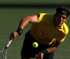 Juan Martin del Potro Miami