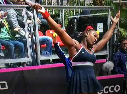 Serena Williams Cant Stop America From Falling